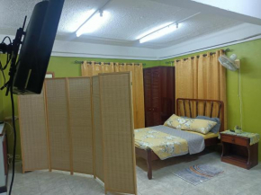 Urban Oasis Apartment 2
